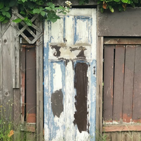 Mismatched door and wooden fence with vegetation.